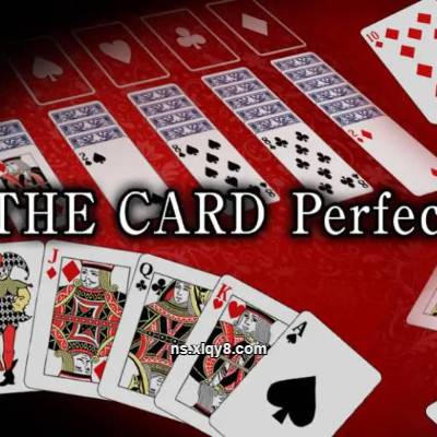 [Switch]卡牌游戏完美合集 THE CARD Perfect Collection|中文版|原版|