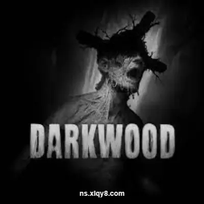 [PC游戏]阴暗森林 Darkwood|官方中文v1.4.2|容量7.33GB|亲测
