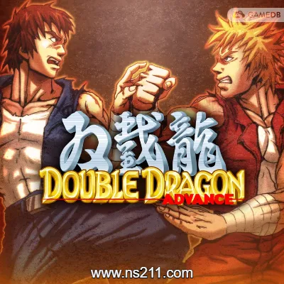 [Switch] 双截龙 Advance Double Dragon Advance|中文本体+v1.0.1升补|整合版