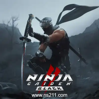 [PC游戏]忍者龙剑传2 黑之章 NINJA GAIDEN 2 Black 中文v1.0.7.0|容量81.2GB|单机版