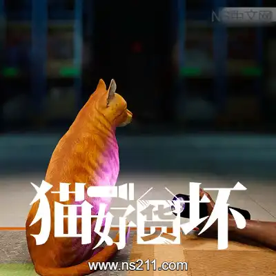 [PC游戏]猫好货坏 ORDER 13 官方中文v1.1|容量4.41GB 单机版