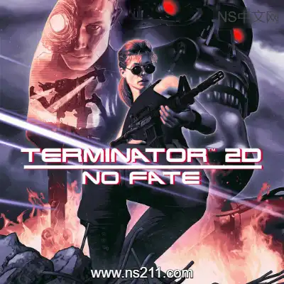 [Switch]终结者2D Terminator 2D NO FATE 官方中文v1.0.3升补整合版