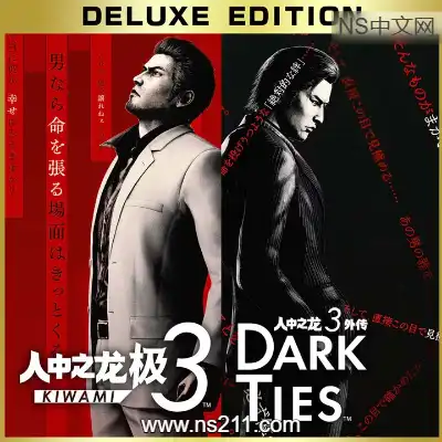 [PC游戏]人中之龙 极3 如龙极3 官方中文v1.13(Build.21991519)|容量55.3GB 虚拟机版