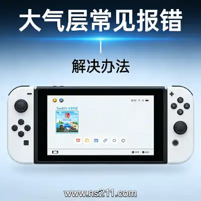 [Switch]由于发生错误 软件已关闭该如何解决！！