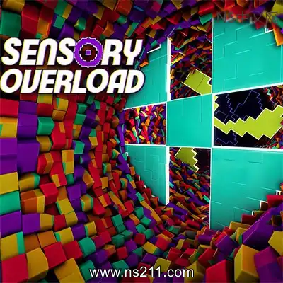 感官过载 Sensory OverloadBuild.24840501